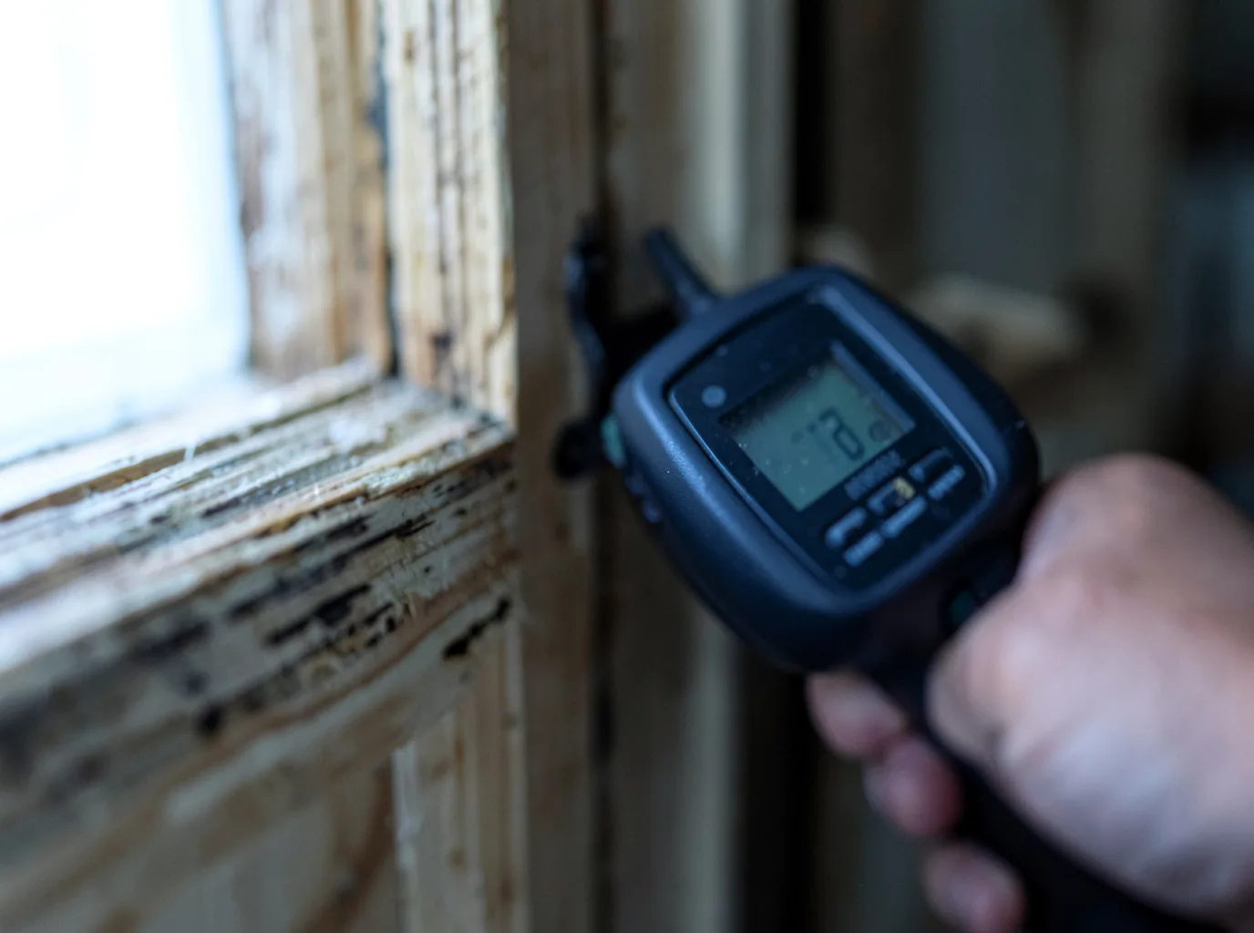 Moisture Inspection And Documentation in Timber, OR